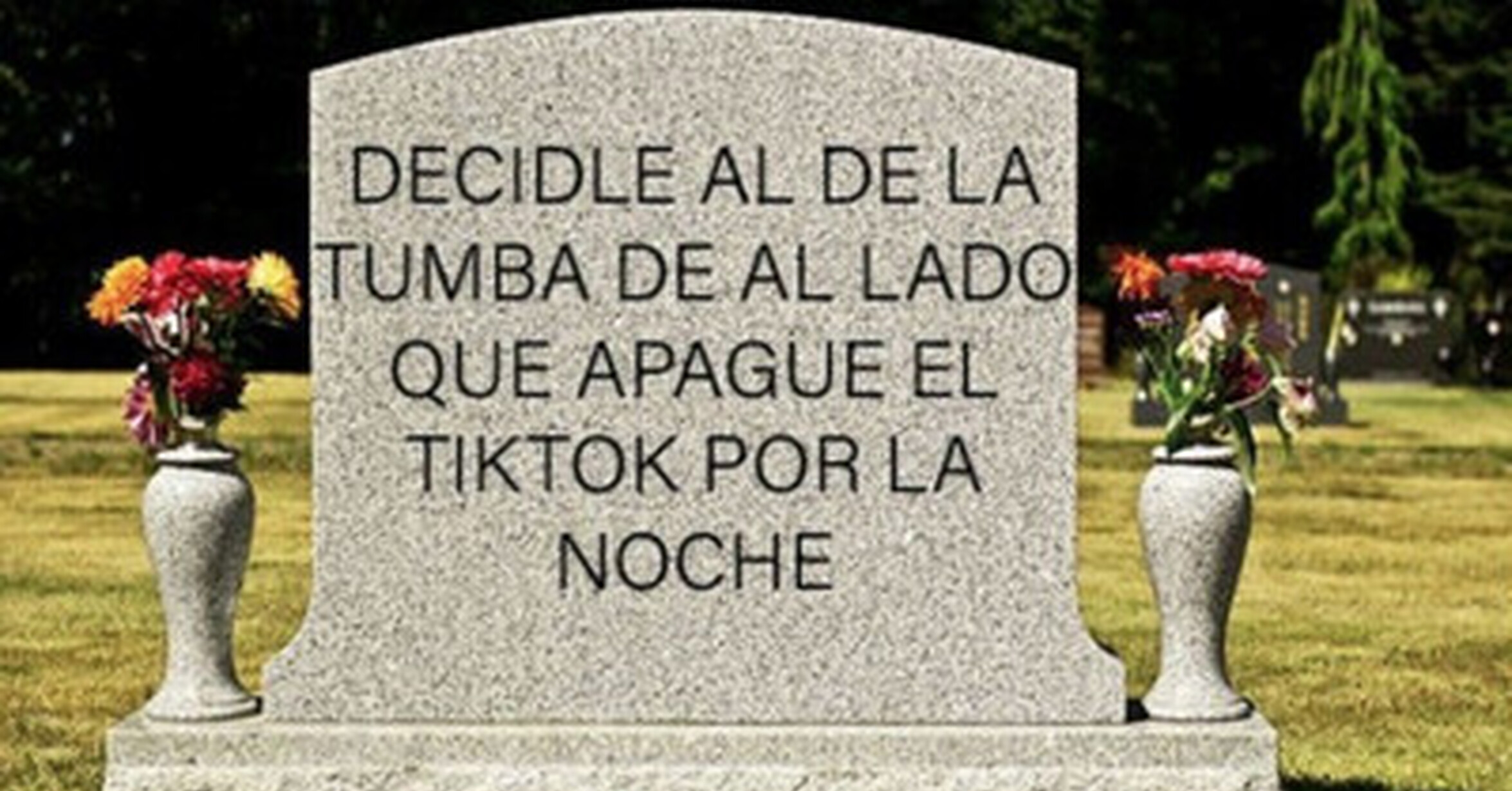 VEF > Visto en las Redes > Hilo de frases molonas que podemos poner en nuestra lápida para