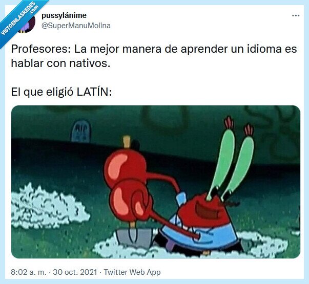 latín,profesor,idioma,aprender,nativo