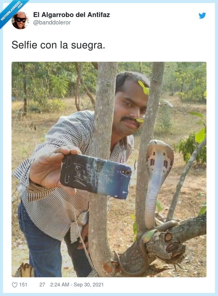 selfie,serpiente,suegra
