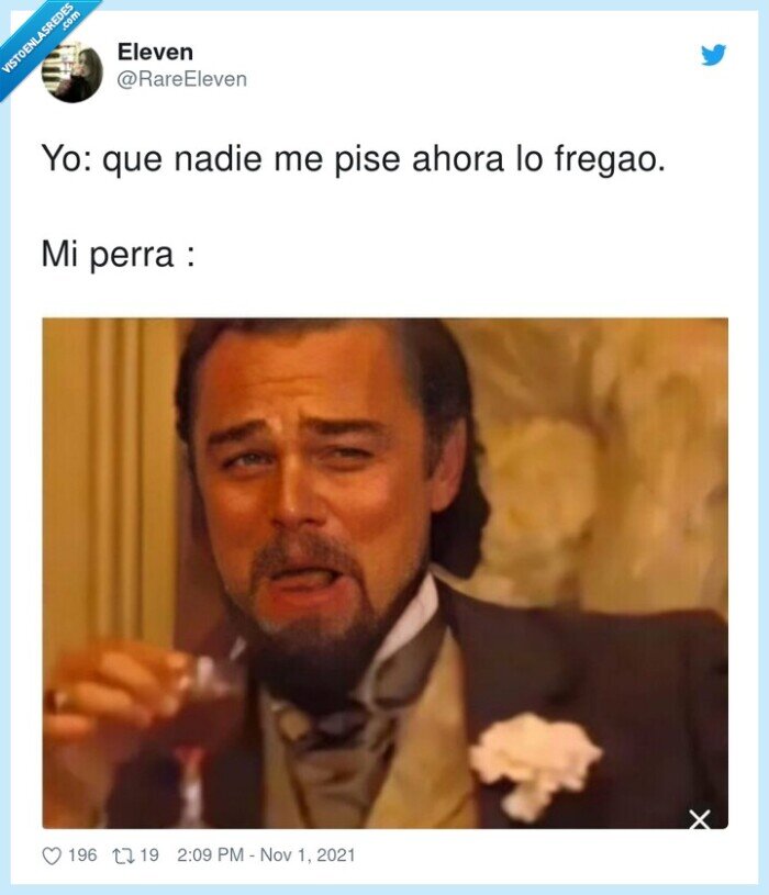 fregao,nadie,ahora,perra,pisar