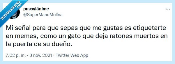 señal,gato,dueño,ratones,gustar,memes,etiquetar