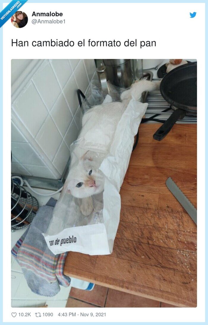 cambiado,formato,pan