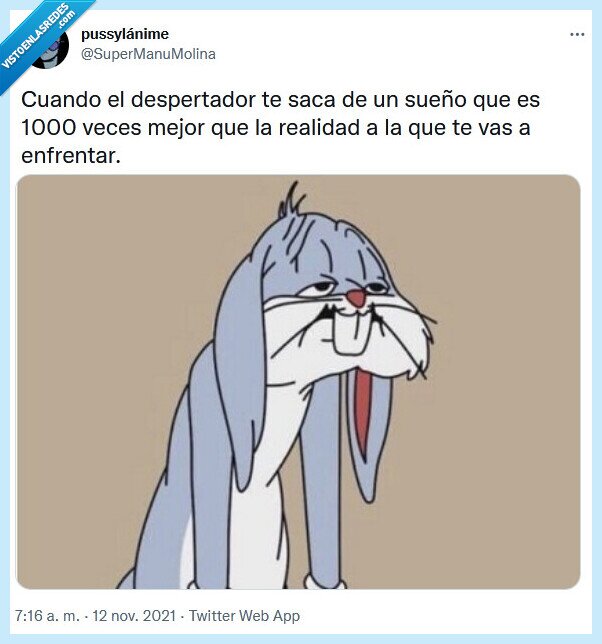 sueño,despertador,realidad