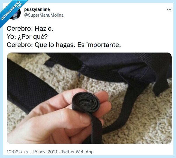 mochila,cerebro,lazo