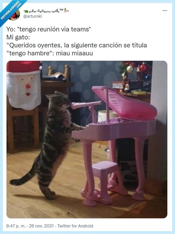 gato,canción,reunión,arturoki