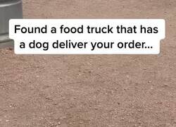 Enlace a En este foodtruck es un perro el que te trae tu pedido, y el tío aguanta el no comérselo