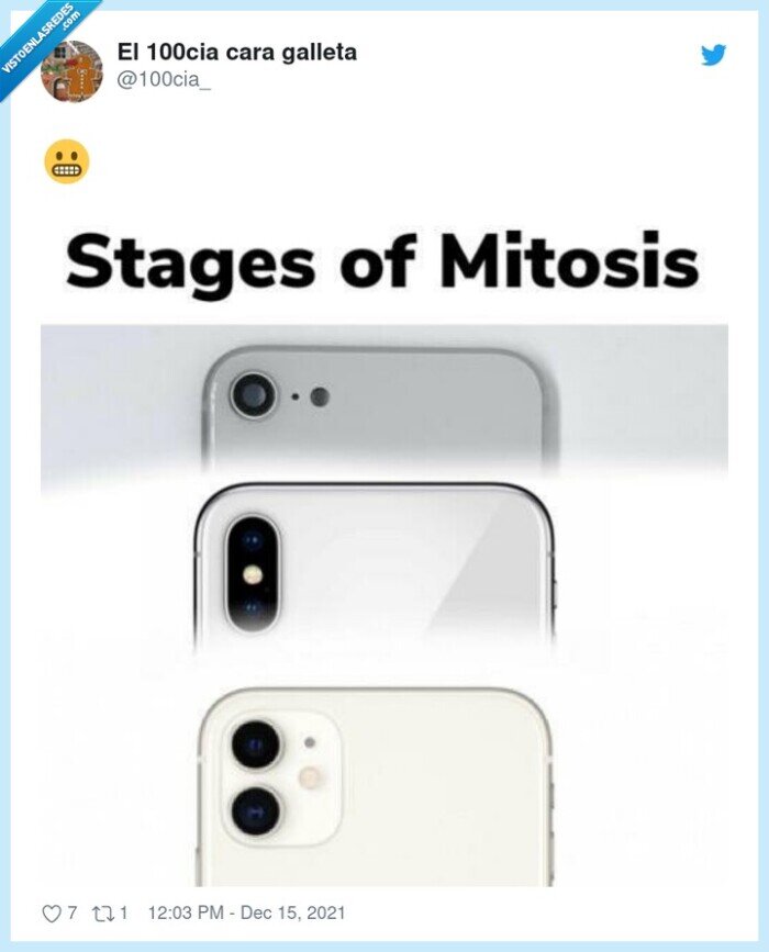 mitosis,reproduccion,cámara,iphone