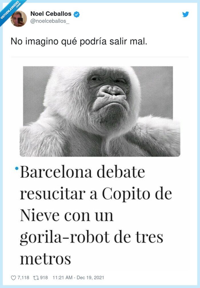 gorila,copito de nieve,resucitar,barcelona