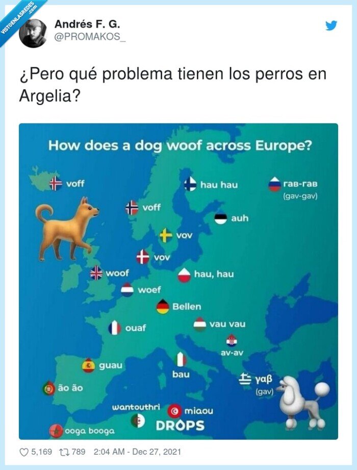 argelia,europa,perros,woof