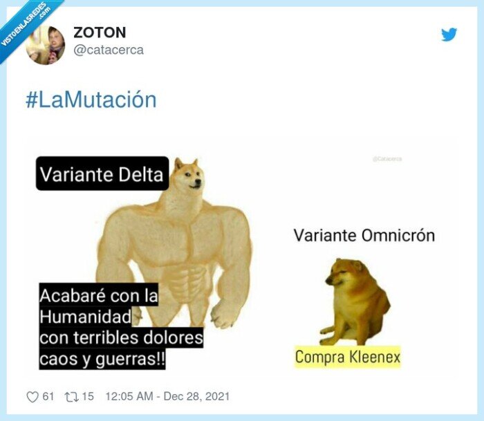 cheems,doge,coronavirus,mutación,omicron
