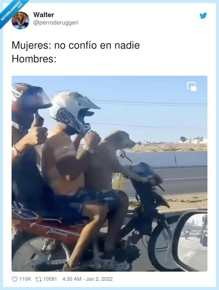 mujeres,confío,hombres,nadie,perro,moto