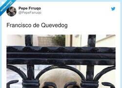 Enlace a Quevedog, por @PepeFarruqo