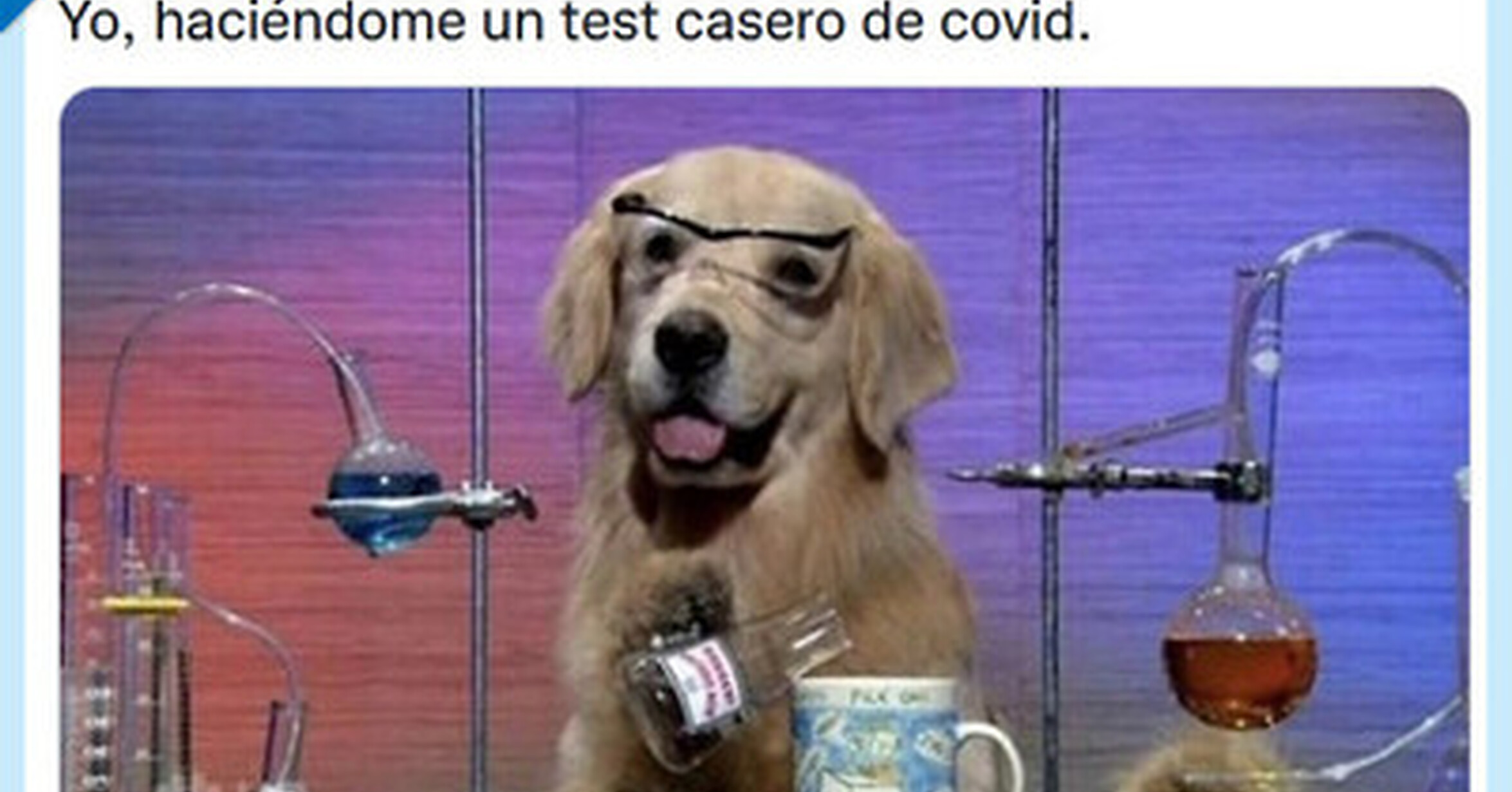 I had no idea. I have no idea what im doing meme. I have no Enemies Dog meme.