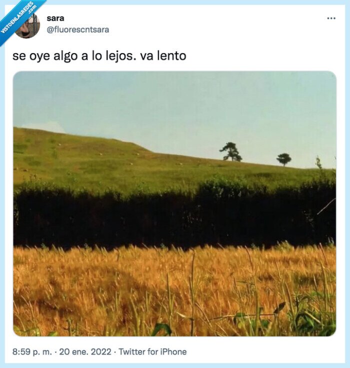 lejos,lento,algo,sam va lentin,meme