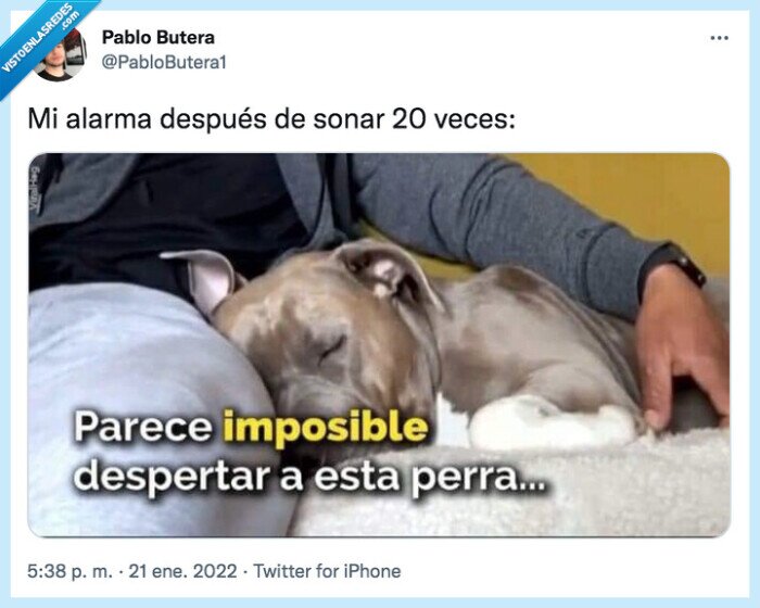 después,alarma,sonar,veces