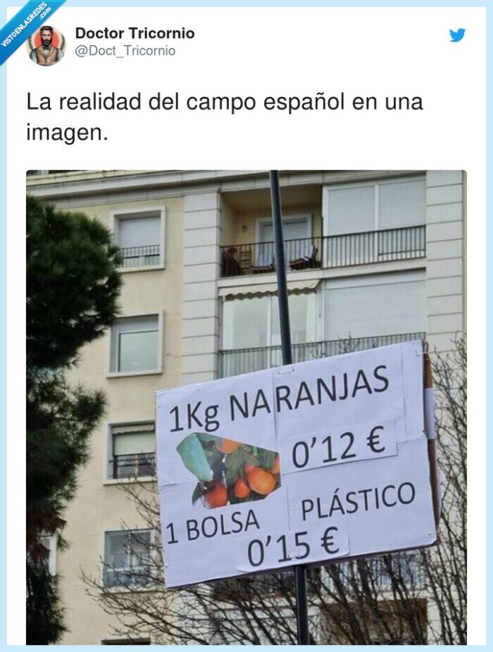 realidad española,naranjas,campo,bolsa,plástico