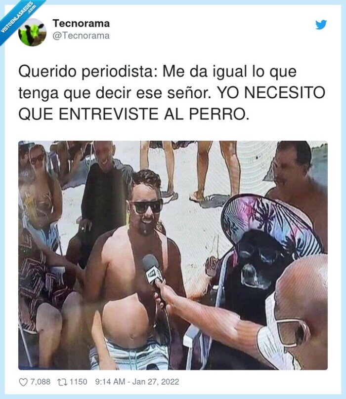 periodista,entrevista,perro con sombrero