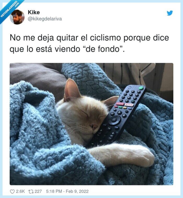 ciclismo,fondo,quitar,gato,televisión,mando