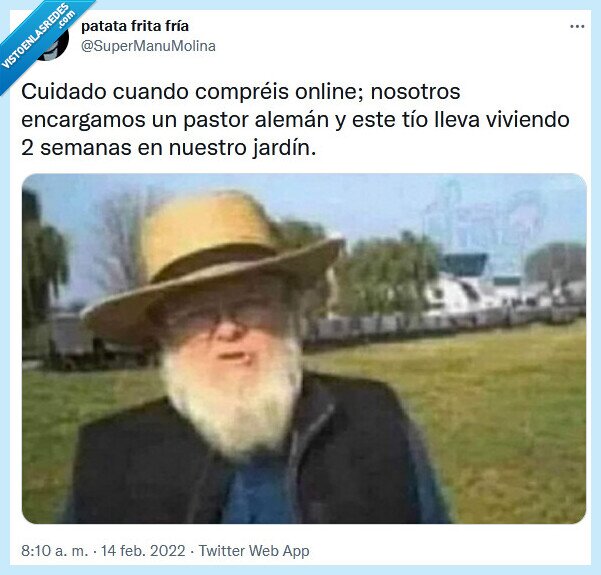 pastor,alemán,comprar,online,cuidado