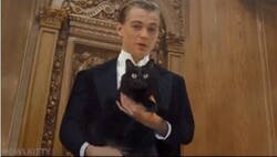 Enlace a Cuando pensabas que nada más puede sorprenderte, llega el trailer de Titanic con un gato