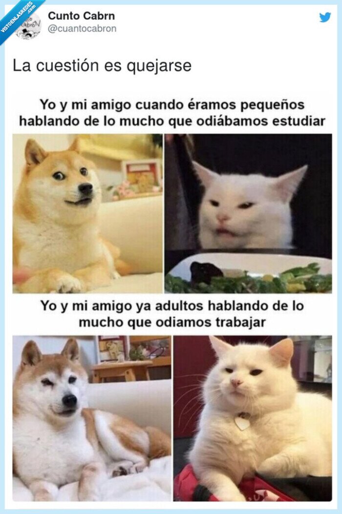 cuesti&oacute;n,quejarse