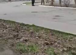 Enlace a Una mujer ucraniana se enfrenta a soldado ruso y le da semillas de flores para que cuando muera salga una flor ahí