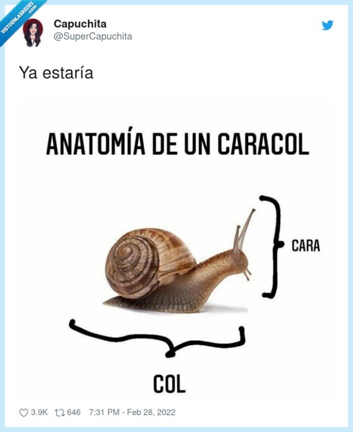 caracol,cara,col