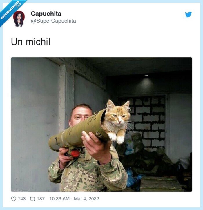 michil,gato,misil