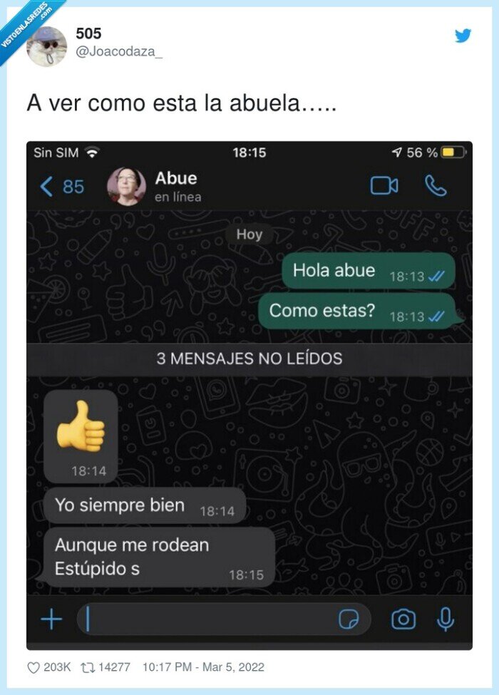 abuela,sincera,estupidos