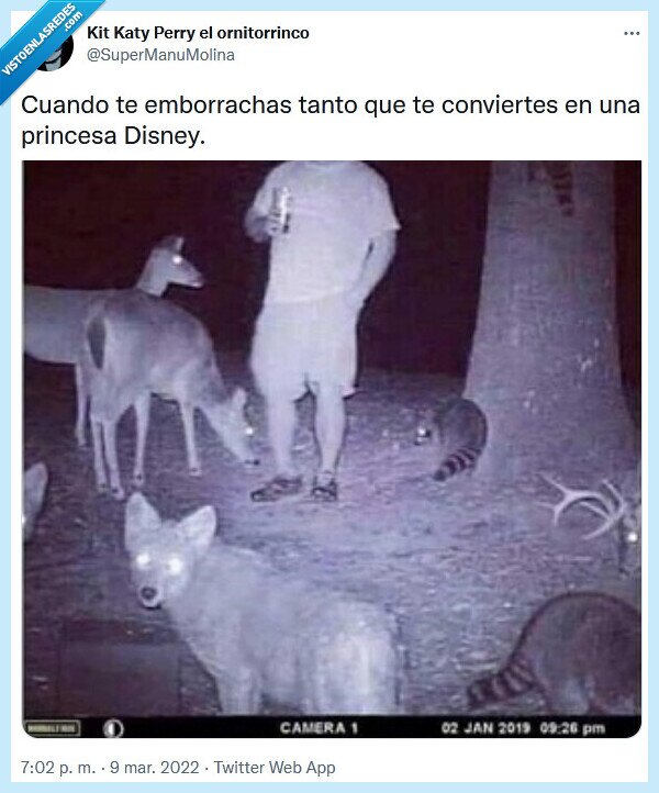 princesa,disney,borracho