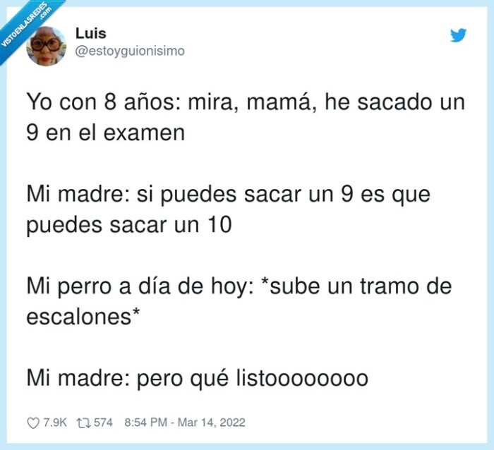 madre,examen,superar,apoyar,perro,hijo