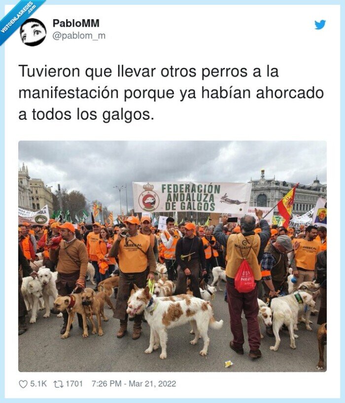 manifestación,galgos,perros