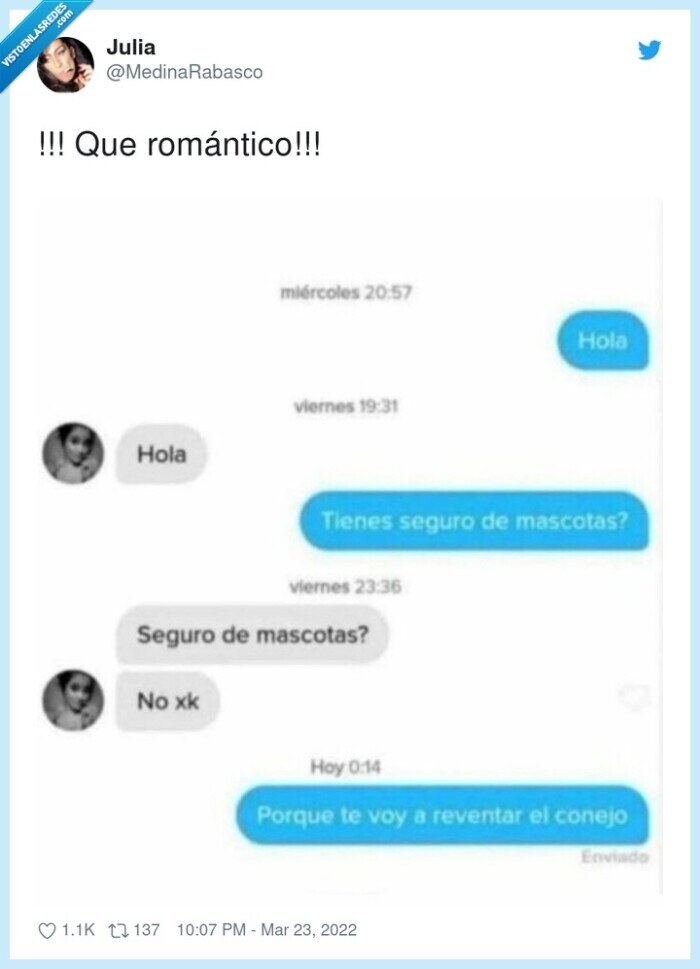 ligar,rom&aacute;ntico,mascotas,conejo