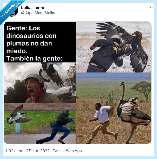 plumas,miedo,dinosaurio