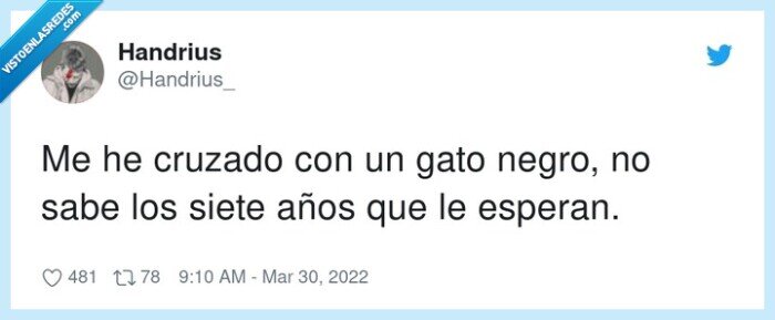 cruzarse,gato negro,siete años,gato,mala suerte