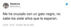 Enlace a Jaque mate, gatos negros, por @Handrius_