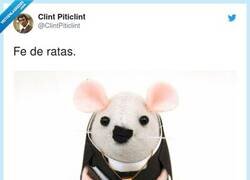 Enlace a Fe de ratas, por @ClintPiticlint