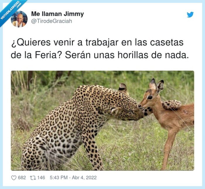 horillas,trabajar,feria de abril,guepardo,casetas