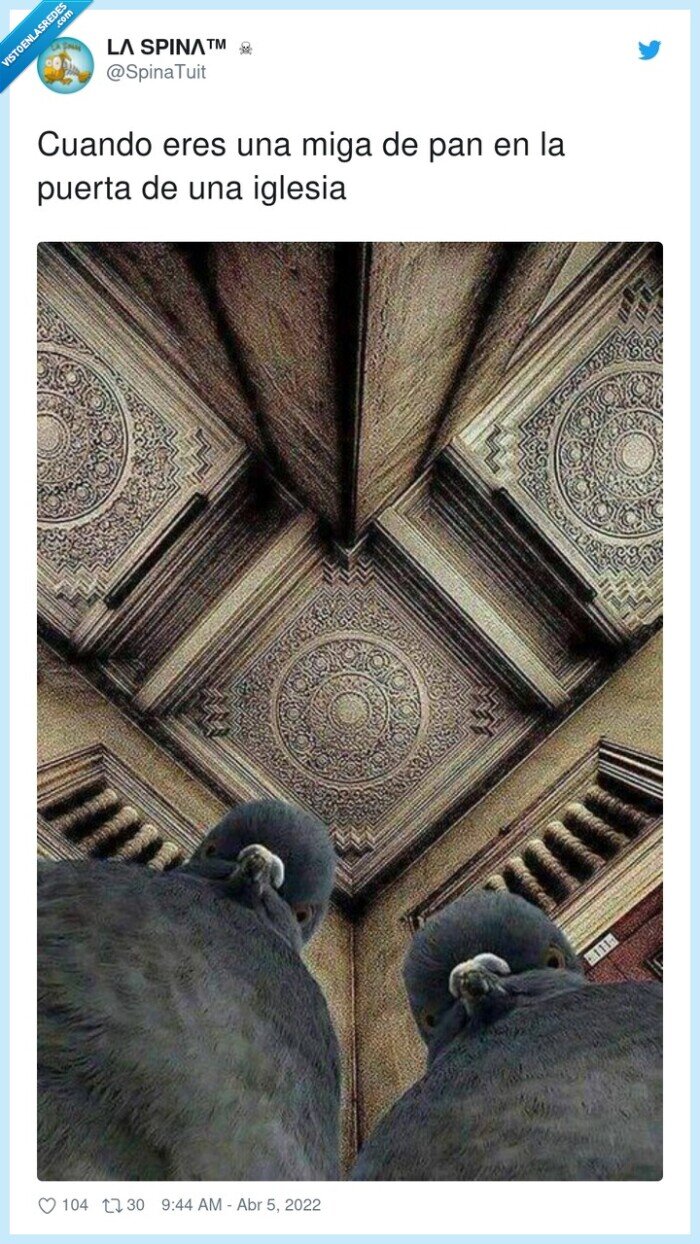 iglesia,palomas,puerta,miga