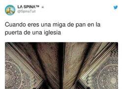 Enlace a Imponen respeto, por @SpinaTuit