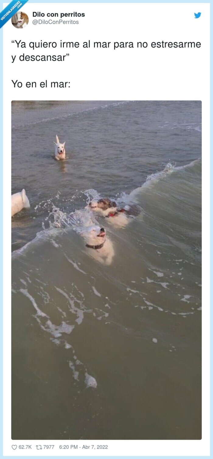 descansar,estresarme,irme,mar