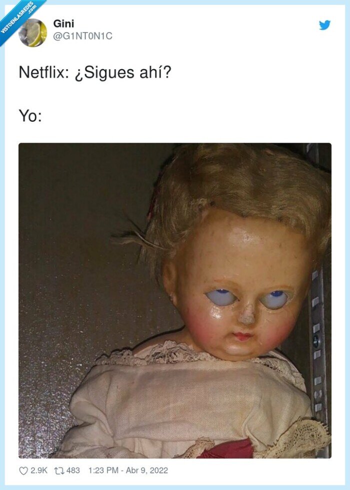 netflix,sigues ah&iacute;