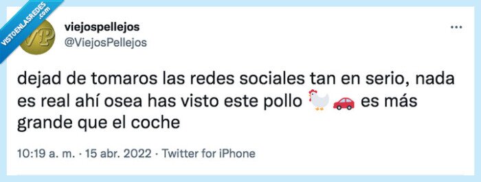 redes,redes sociales,pollo,gallina,coche,risa,humor,serio,jajaja