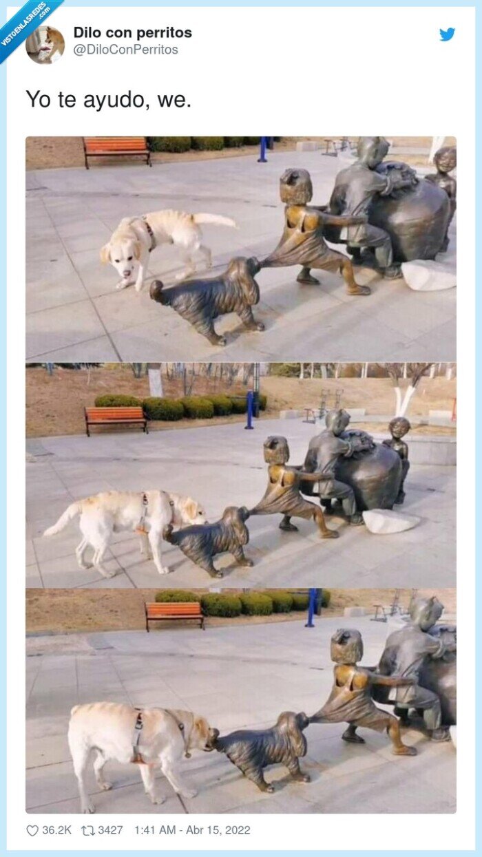 perro,ayudar,estatua