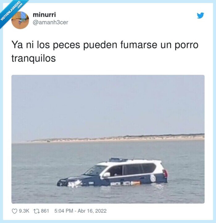 tranquilos,fumarse,peces,porro