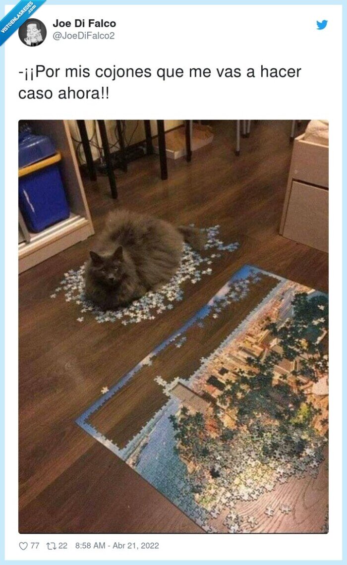 gato,puzzle,destrozar