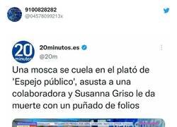 Enlace a Gran periodismo. Y primera vez que leo la expresión 