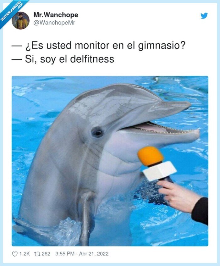 delfín,delfitness,fitness,gimnasio,monitor