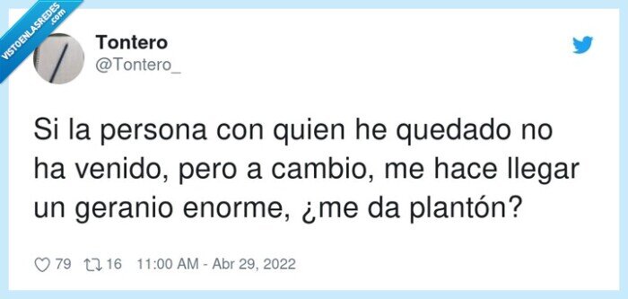 plantón,persona,quedar,cambio,geranio