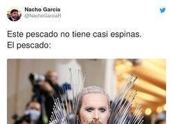 Enlace a Jared Salmonetto, por @NachoGarciaR